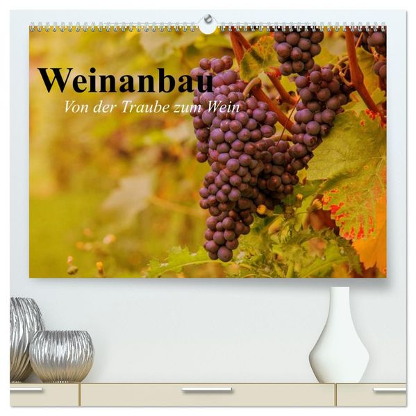 Weinanbau. Von der Traube zum Wein (hochwertiger Premium Wandkalender 2027 DIN A2 quer) Kunstdruck in Hochglanz