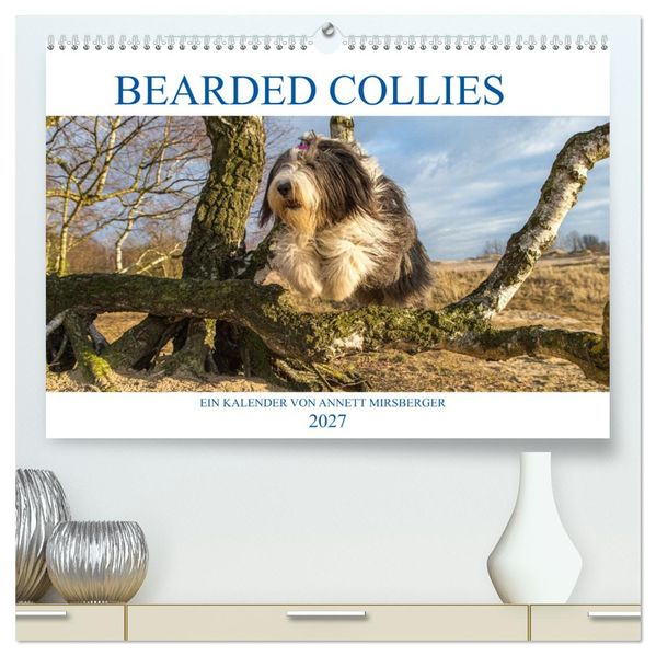 BEARDED COLLIES 2027 (hochwertiger Premium Wandkalender 2027 DIN A2 quer) Kunstdruck in Hochglanz
