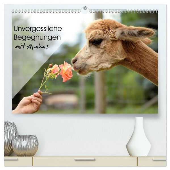 Unvergessliche Begegnungen mit Alpakas (hochwertiger Premium Wandkalender 2027 DIN A2 quer) Kunstdruck in Hochglanz