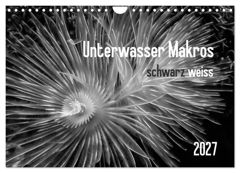 Unterwasser Makros - schwarz weiss 2027 (Wandkalender 2027 DIN A4 quer) CALVENDO Monatskalender