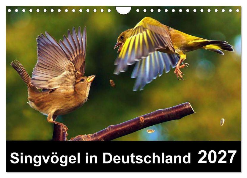 Singvögel in Deutschland (Wandkalender 2027 DIN A4 quer) CALVENDO Monatskalender