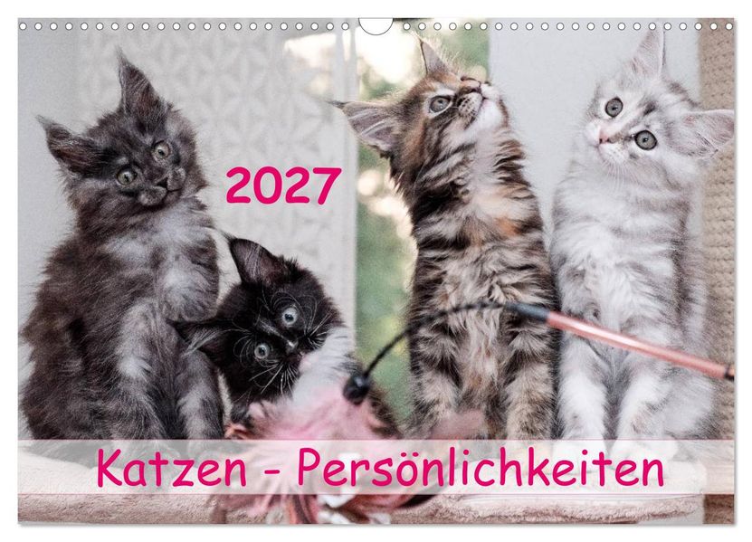 Katzen Persönlichkeiten 2027 (Wandkalender 2027 DIN A3 quer) CALVENDO Monatskalender
