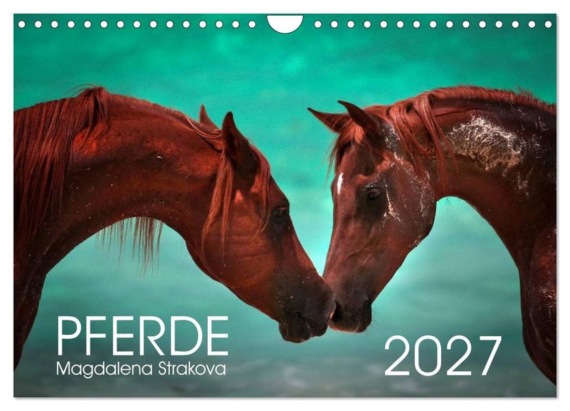 Pferde - Magdalena Strakova (Wandkalender 2027 DIN A4 quer) CALVENDO Monatskalender