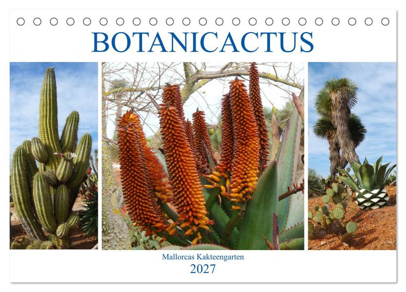 BOTANICACTUS Mallorcas Kakteengarten (Tischkalender 2027 DIN A5 quer) CALVENDO Monatskalender
