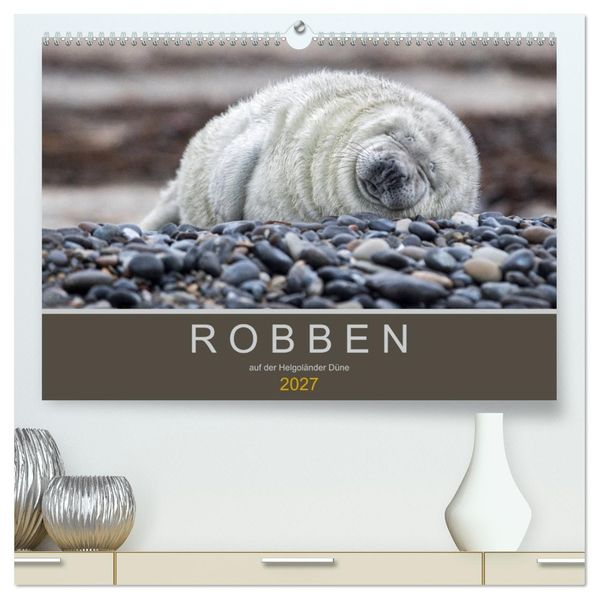 Robben auf der Helgoländer Düne (hochwertiger Premium Wandkalender 2027 DIN A2 quer) Kunstdruck in Hochglanz