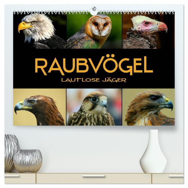 Raubvögel - lautlose Jäger (hochwertiger Premium Wandkalender 2027 DIN A2 quer) Kunstdruck in Hochglanz