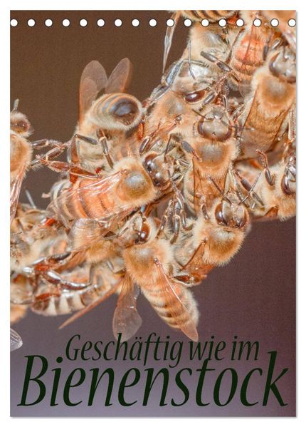 Geschäftig wie im Bienenstock (Tischkalender 2027 DIN A5 hoch) CALVENDO Monatskalender