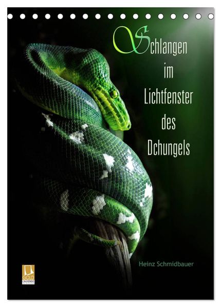 Schlangen im Lichtfenster des Dschungels (Tischkalender 2027 DIN A5 hoch) CALVENDO Monatskalender