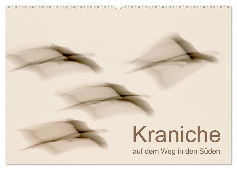 Kraniche auf dem Weg nach Süden (Wandkalender 2027 DIN A2 quer) CALVENDO Monatskalender