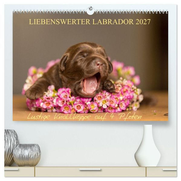 Liebenswerter Labrador 2027 (hochwertiger Premium Wandkalender 2027 DIN A2 quer) Kunstdruck in Hochglanz