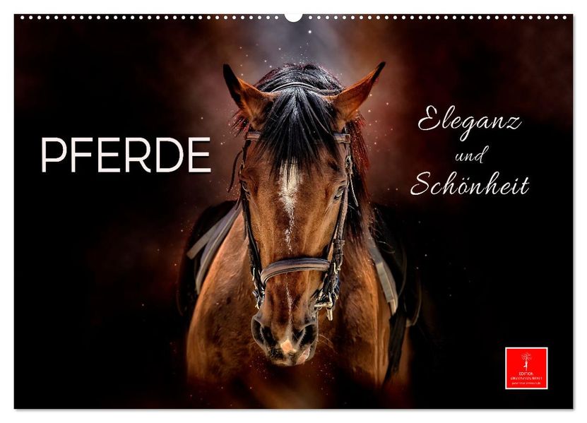 Eleganz und Schönheit - Pferde (Wandkalender 2027 DIN A2 quer) CALVENDO Monatskalender