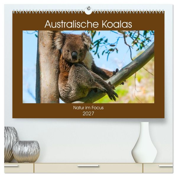Australische Koalas (hochwertiger Premium Wandkalender 2027 DIN A2 quer) Kunstdruck in Hochglanz