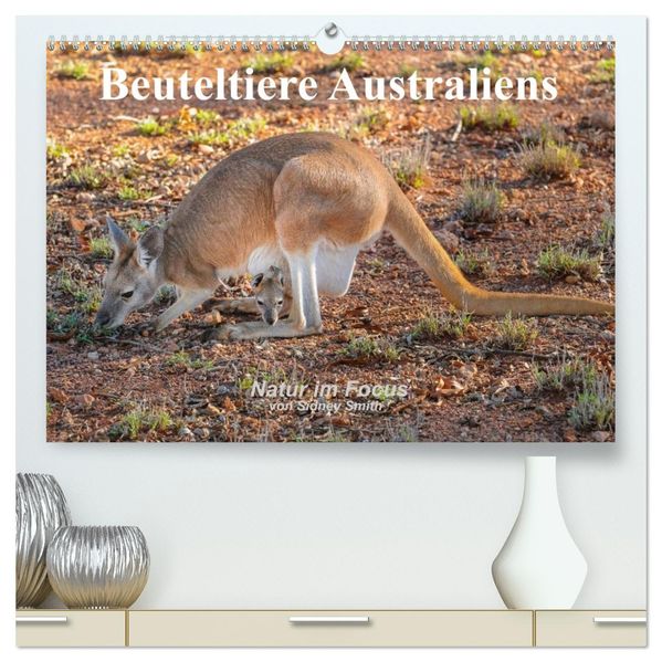 Beuteltiere Australiens (hochwertiger Premium Wandkalender 2027 DIN A2 quer) Kunstdruck in Hochglanz