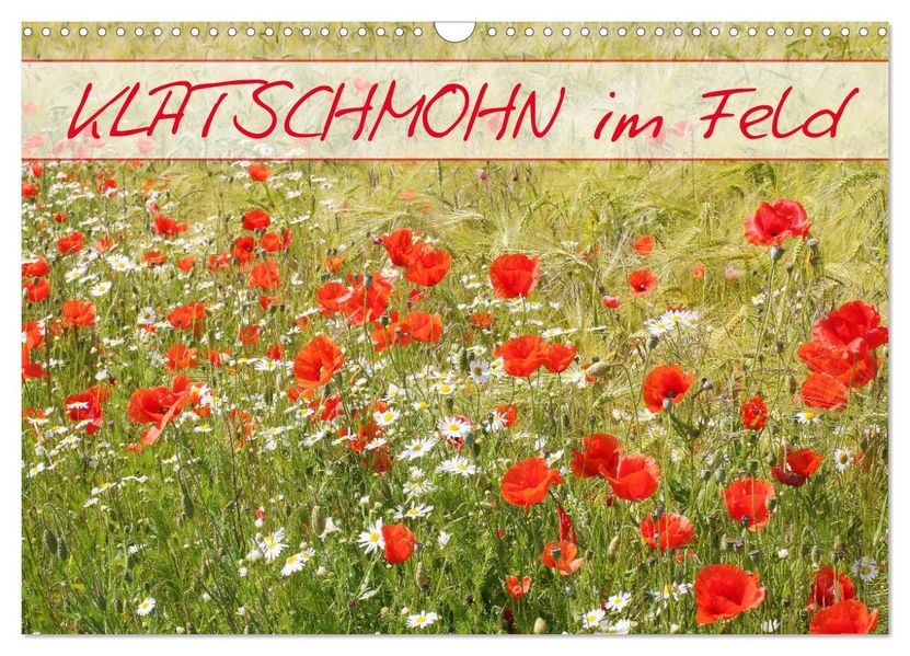 Klatschmohn im Feld (Wandkalender 2027 DIN A3 quer) CALVENDO Monatskalender