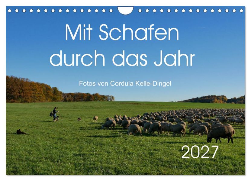 Mit Schafen durch das Jahr (Wandkalender 2027 DIN A4 quer) CALVENDO Monatskalender