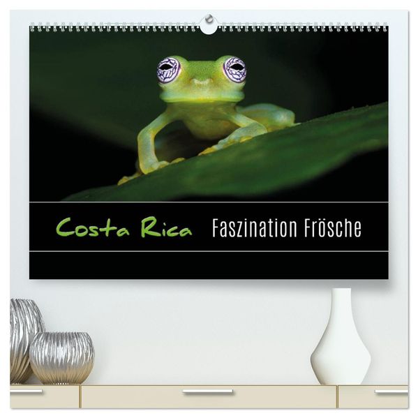 Costa Rica - Faszination Frösche (hochwertiger Premium Wandkalender 2027 DIN A2 quer) Kunstdruck in Hochglanz