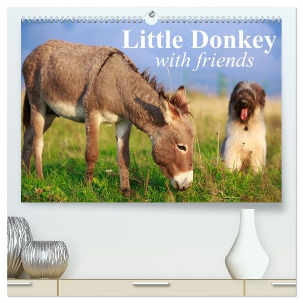 Little Donkey with Friends (High Quality Premium Wall Calendar 2027 DIN A2 landscape)CALVENDO 12 Month Wall Calendar