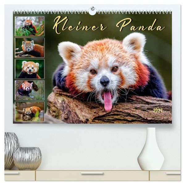 Kleiner Panda (hochwertiger Premium Wandkalender 2027 DIN A2 quer) Kunstdruck in Hochglanz