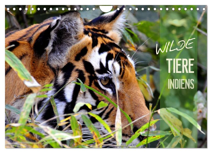 Wilde Tiere Indiens (Wandkalender 2027 DIN A4 quer) CALVENDO Monatskalender