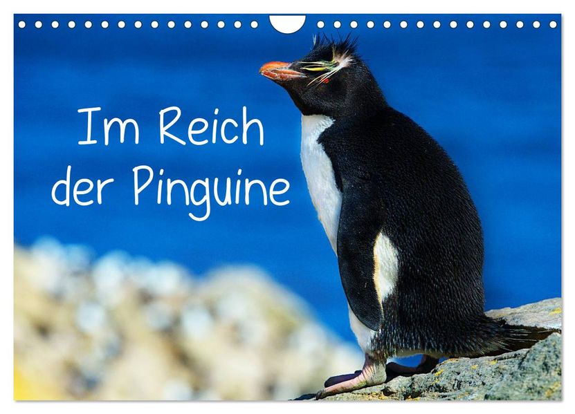 Im Reich der Pinguine (Wandkalender 2027 DIN A4 quer) CALVENDO Monatskalender