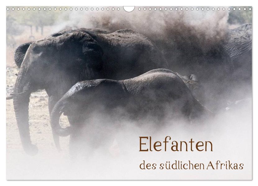 Elefanten des südlichen Afrikas (Wandkalender 2027 DIN A3 quer) CALVENDO Monatskalender