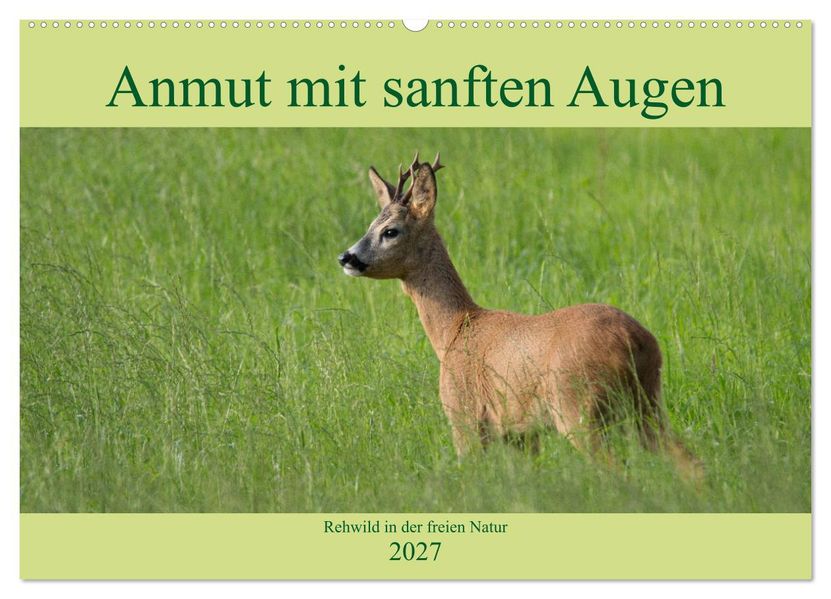 Anmut mit sanften Augen - Rehwild in der freien Natur (Wandkalender 2027 DIN A2 quer) CALVENDO Monatskalender