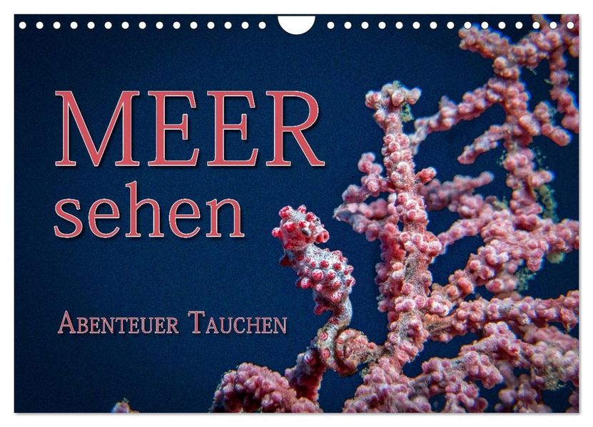 Meer sehen - Abenteuer Tauchen (Wandkalender 2027 DIN A4 quer) CALVENDO Monatskalender
