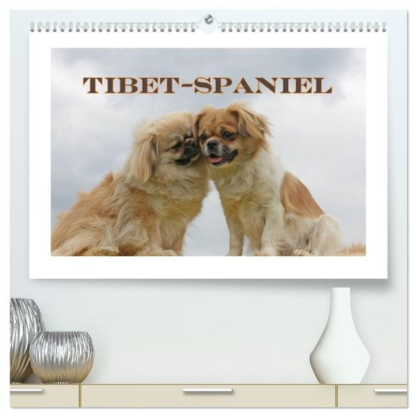 Tibet-Spaniel (hochwertiger Premium Wandkalender 2027 DIN A2 quer) Kunstdruck in Hochglanz