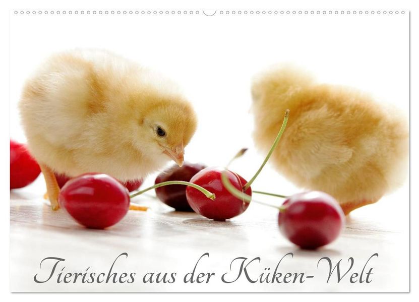 Tierisches aus der Küken-Welt (Wandkalender 2027 DIN A2 quer) CALVENDO Monatskalender