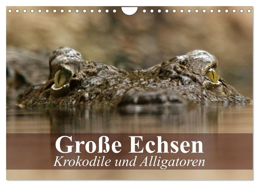 Große Echsen. Krokodile und Alligatoren (Wandkalender 2027 DIN A4 quer) CALVENDO Monatskalender