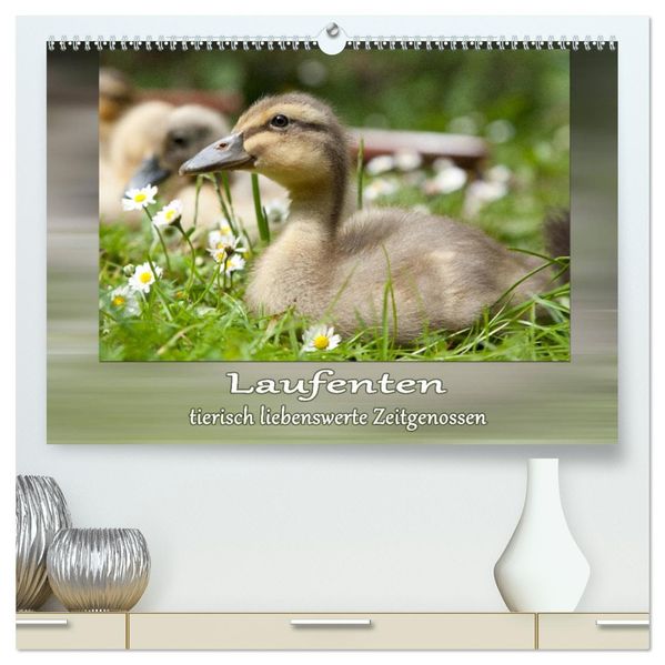 Laufenten - tierisch liebenswerte Zeitgenossen (hochwertiger Premium Wandkalender 2027 DIN A2 quer) Kunstdruck in Hochglanz