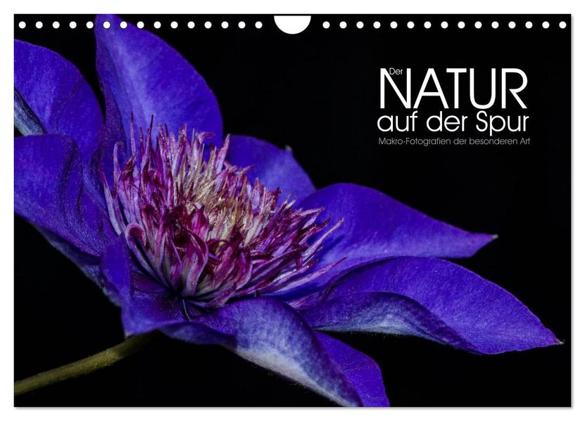 Der Natur auf der Spur - Makro-Fotografien der besonderen Art (Wandkalender 2027 DIN A4 quer) CALVENDO Monatskalender