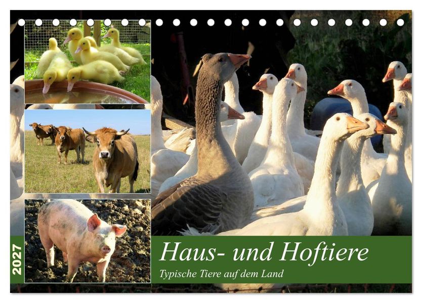 Haus- und Hoftiere (Tischkalender 2027 DIN A5 quer) CALVENDO Monatskalender