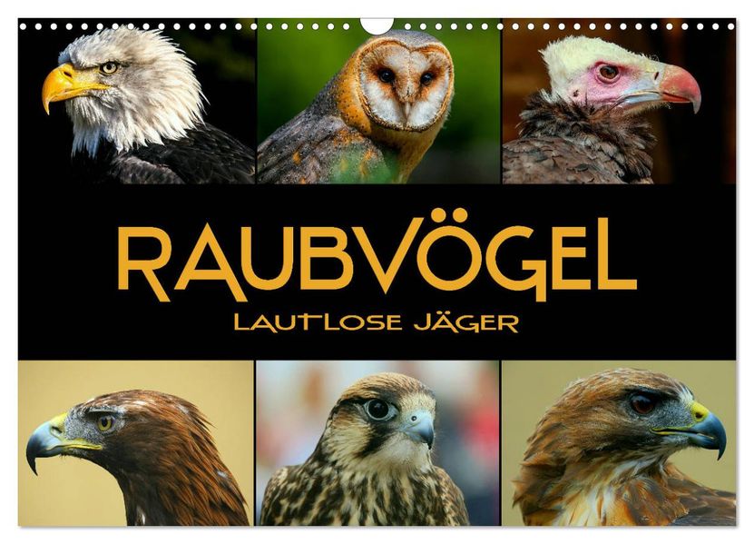 Raubvögel - lautlose Jäger (Wandkalender 2027 DIN A3 quer) CALVENDO Monatskalender
