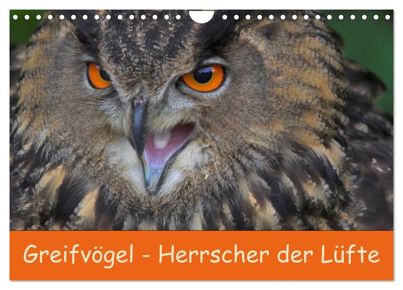 Greifvögel - Herrscher der Lüfte (Wandkalender 2027 DIN A4 quer) CALVENDO Monatskalender