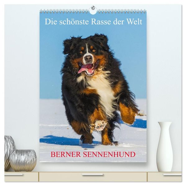 Die schönste Rasse der Welt - Berner Sennenhund (hochwertiger Premium Wandkalender 2027 DIN A2 hoch) Kunstdruck in Hochglanz