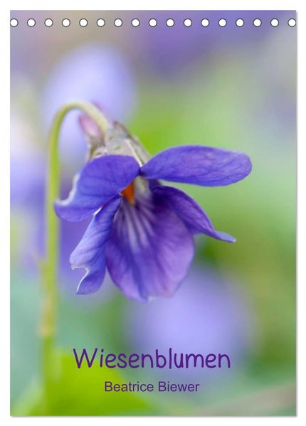 Wiesenblumen (Tischkalender 2027 DIN A5 hoch) CALVENDO Monatskalender