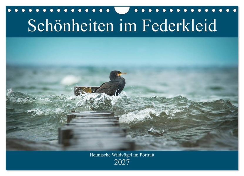 Schönheiten im Federkleid - Heimische Wildvögel im Portrait (Wandkalender 2027 DIN A4 quer) CALVENDO Monatskalender