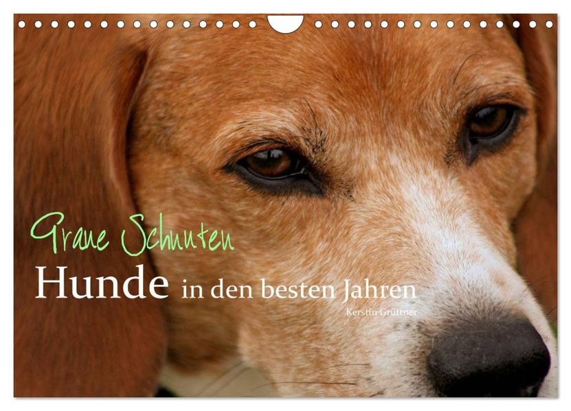 Graue Schnuten - Hunde in den besten Jahren (Wandkalender 2027 DIN A4 quer) CALVENDO Monatskalender