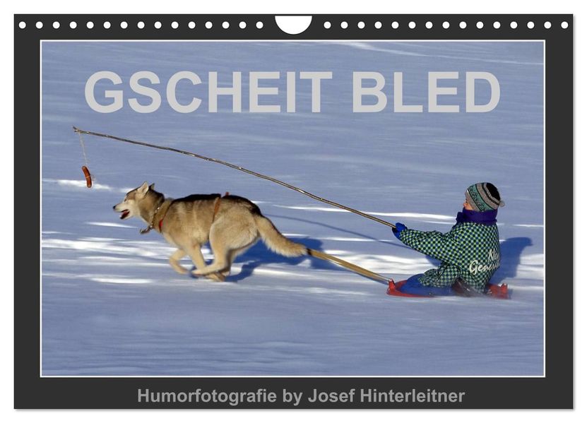 GSCHEIT BLED - Humorfotografie (Wandkalender 2027 DIN A4 quer) CALVENDO Monatskalender