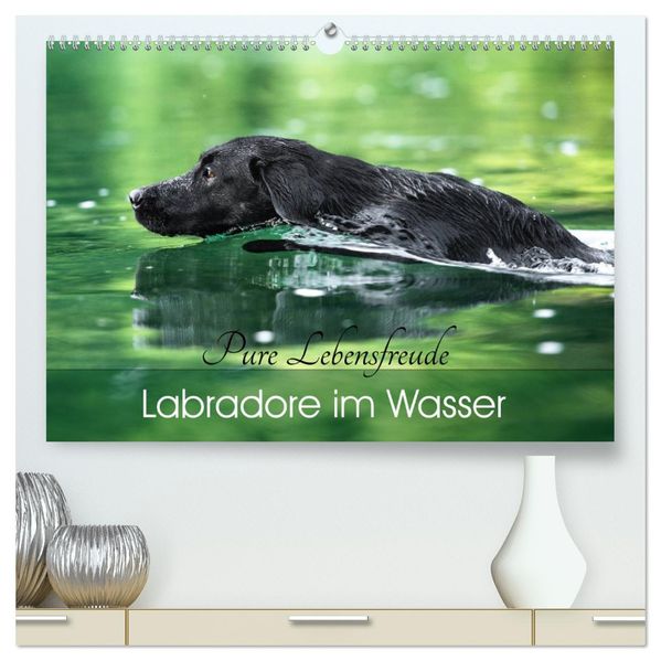 Labradore im Wasser (hochwertiger Premium Wandkalender 2027 DIN A2 quer) Kunstdruck in Hochglanz