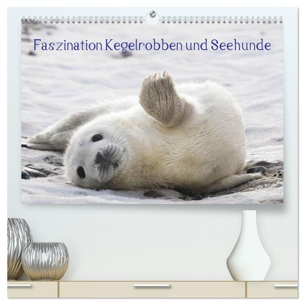 Faszination Kegelrobben und Seehunde 2027 (hochwertiger Premium Wandkalender 2027 DIN A2 quer) Kunstdruck in Hochglanz