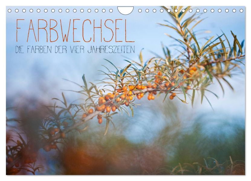 Farbwechsel - Die Farben der vier Jahreszeiten (Wandkalender 2027 DIN A4 quer) CALVENDO Monatskalender