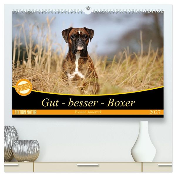 Gut - besser - Boxer (hochwertiger Premium Wandkalender 2027 DIN A2 quer) Kunstdruck in Hochglanz