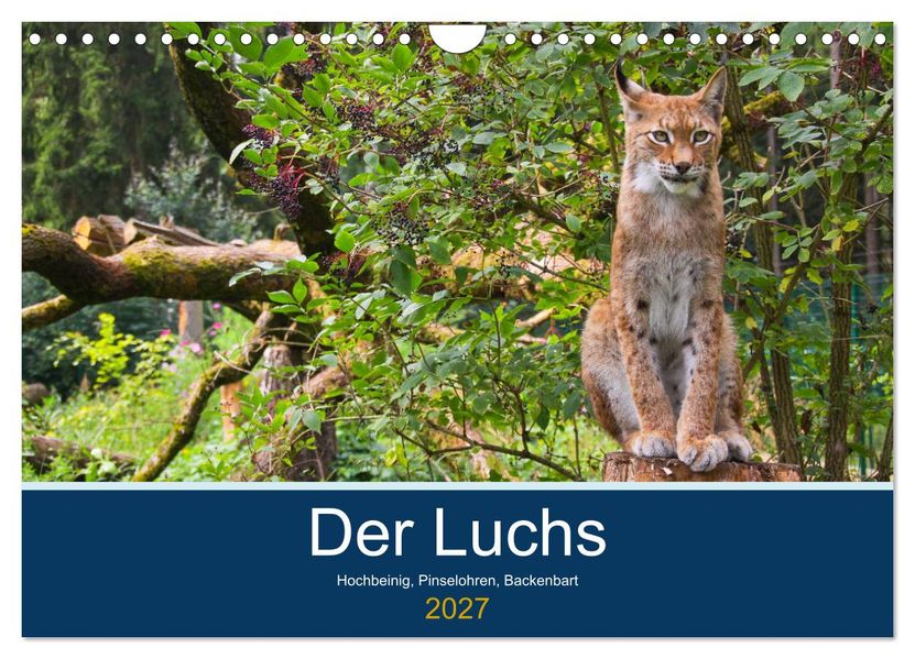 Der Luchs - Hochbeinig Pinselohren Backenbart (Wandkalender 2027 DIN A4 quer) CALVENDO Monatskalender