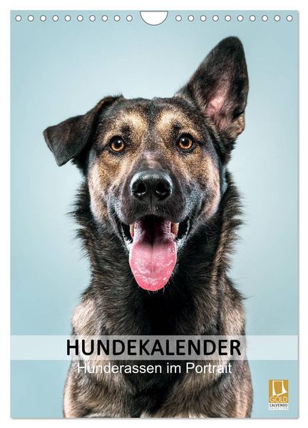 Hundekalender - Hunderassen im Portrait (Wandkalender 2027 DIN A4 hoch) CALVENDO Monatskalender