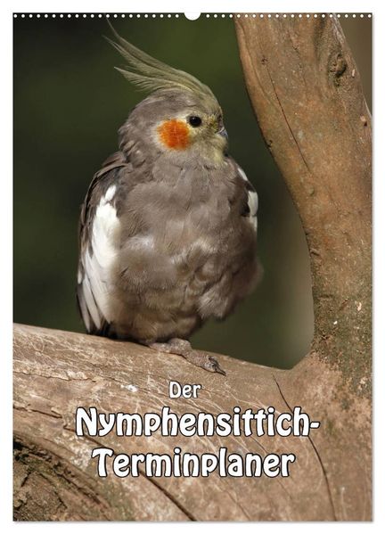 Der Nymphensittich-Terminplaner (Wandkalender 2027 DIN A2 hoch) CALVENDO Monatskalender