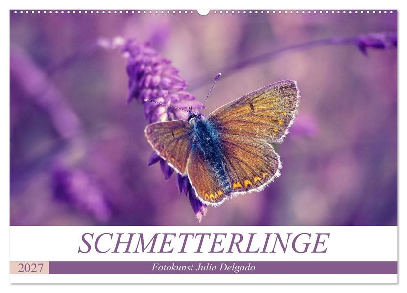 Schmetterlinge im Fokus (Wandkalender 2027 DIN A2 quer) CALVENDO Monatskalender