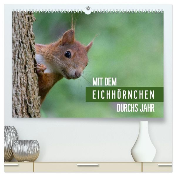 Mit dem Eichhörnchen durchs Jahr (hochwertiger Premium Wandkalender 2027 DIN A2 quer) Kunstdruck in Hochglanz