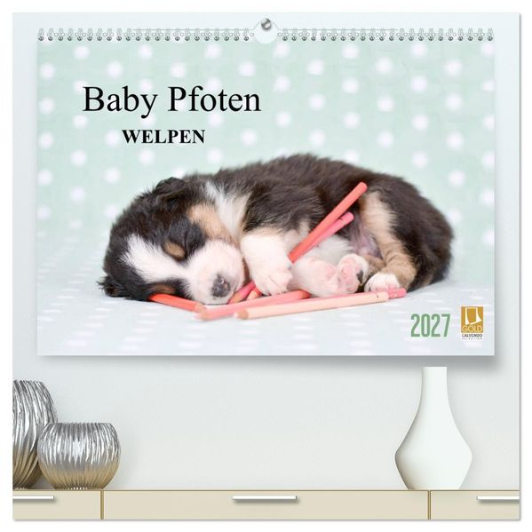 Baby Pfoten (hochwertiger Premium Wandkalender 2027 DIN A2 quer) Kunstdruck in Hochglanz